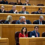 Comisión General de las Comunidades Autónomas convocada por el PP en el Senado sobre la Ley de Amnistía