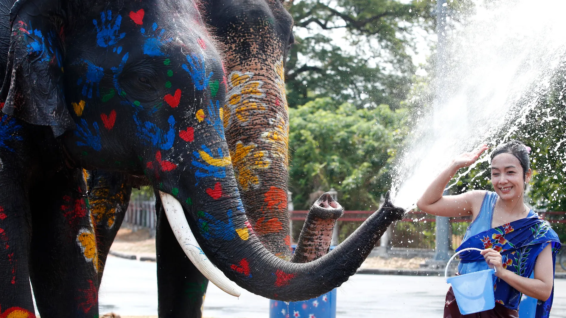 Ayutthaya (Thailand), 09/04/2024.- An elephant splashes a woman with water during a preview of the Songkran Festival celebration, also known as the Water Festival, in the historic city of Ayutthaya, the ancient capital, Thailand, 09 April 2024. The annual water festival, known as 'Songkran', marks the start of the traditional New Year and it is celebrated in countries such as Myanmar, Thailand, Laos, and Cambodia. People celebrate the festival by splashing water and throwing powder at each ot...