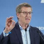 Feijóo dice que citará en el Senado a Begoña Gómez solo si Sánchez le "obliga" y no descarta ir también a los tribunales