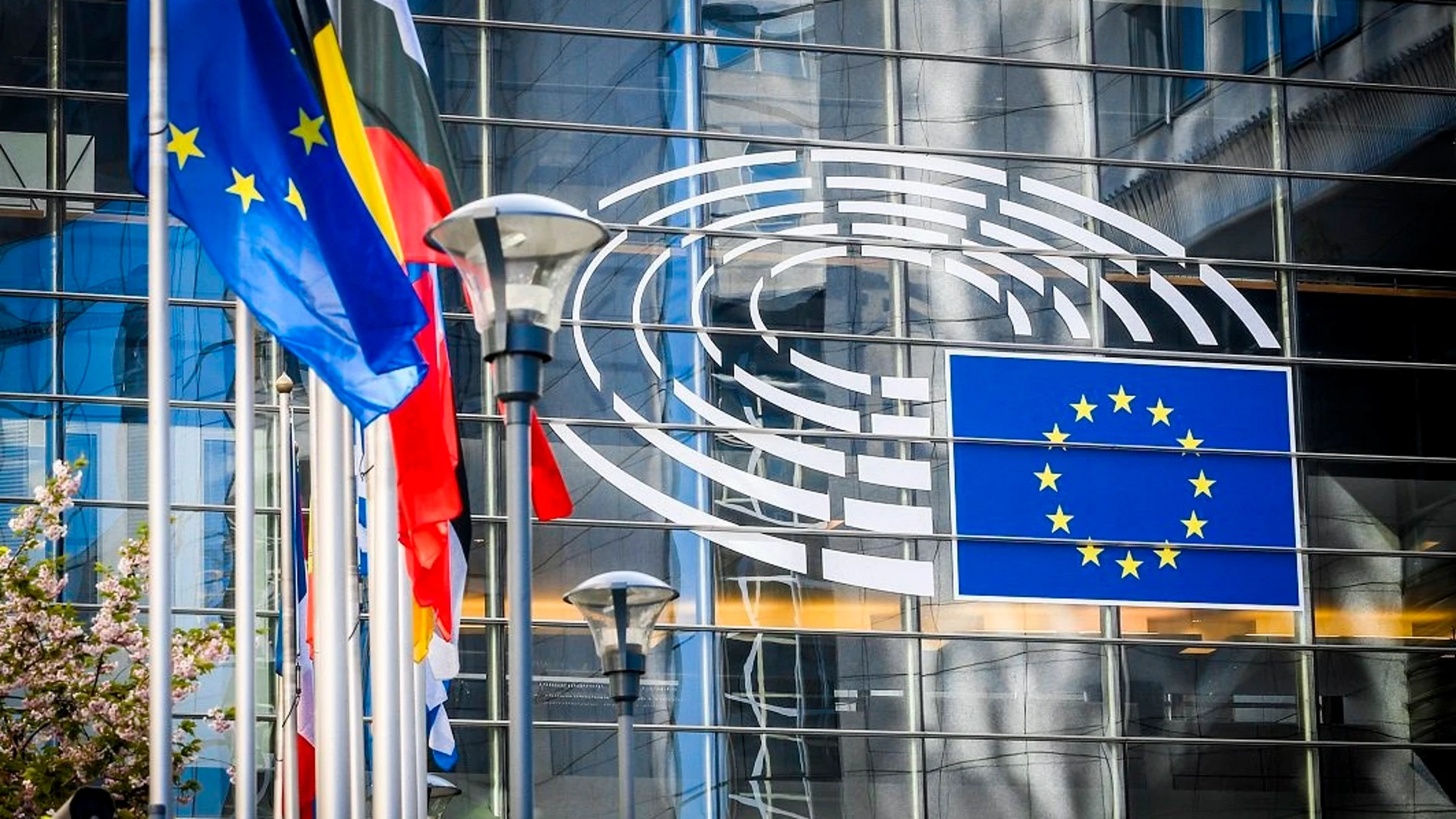 Parlamento Europeo PODEMOS 09/04/2024