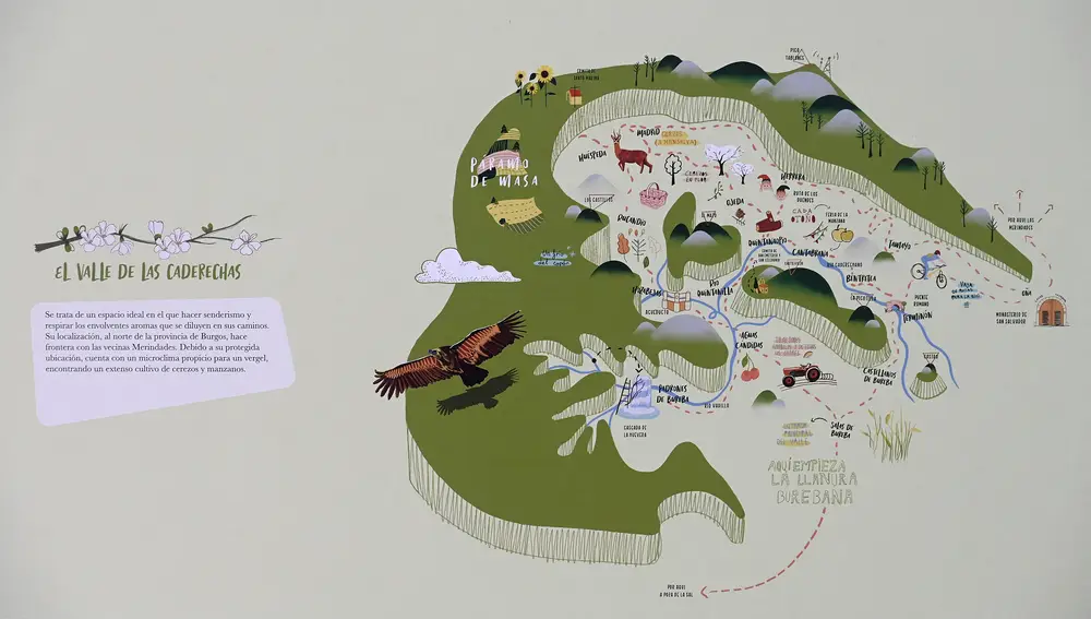 Gráfico del Valle de las Caderechas
