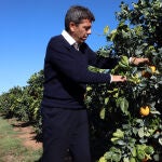 Mazón viaja esta tarde a Bruselas, acompañado por el conseller de Agricultura, Ganadería y Pesca, José Luis Aguirre