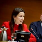 La consellera de Hacienda, Economía y Administración Pública, Ruth Merino, ayer durante su comparecencia en Les Corts