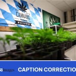 First Cannabis Club near Munich sells plants after legalization