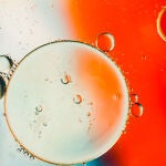 Científicos japoneses descubren una sustancia cotidiana que daña el ADN y hace envejecer