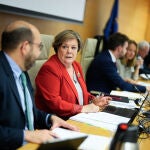 La presidenta del Tribunal de Cuentas, Enriqueta Chicano, comparece ante la Comisión Mixta para las Relaciones con el Tribunal de Cuentas