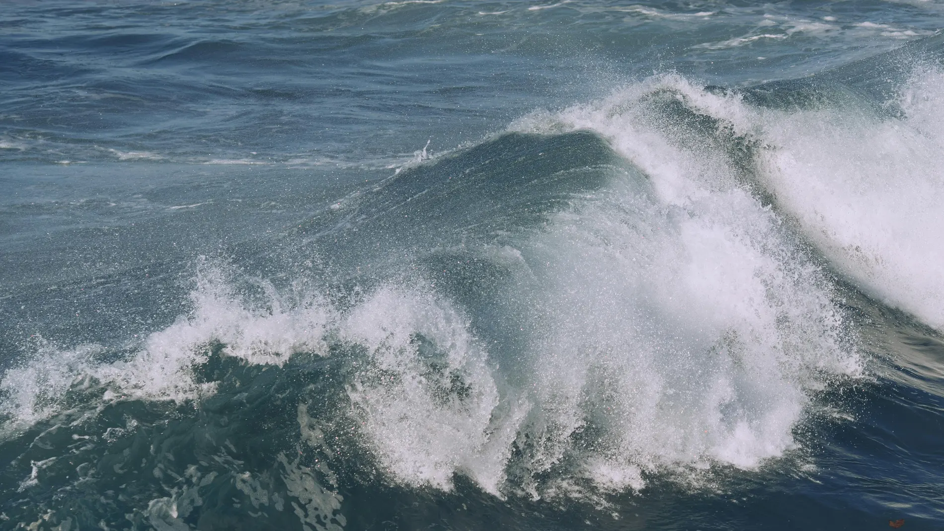 España avanza en la producción de energía renovable en el mar