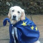"Pasaporte para perros", la Guardia Civil informa de los documentos necesarios para viajar con tu mascota