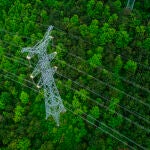 Los dispositivos en torres y tendidos eléctricos permiten proteger espacios naturales de alto valor ecológico