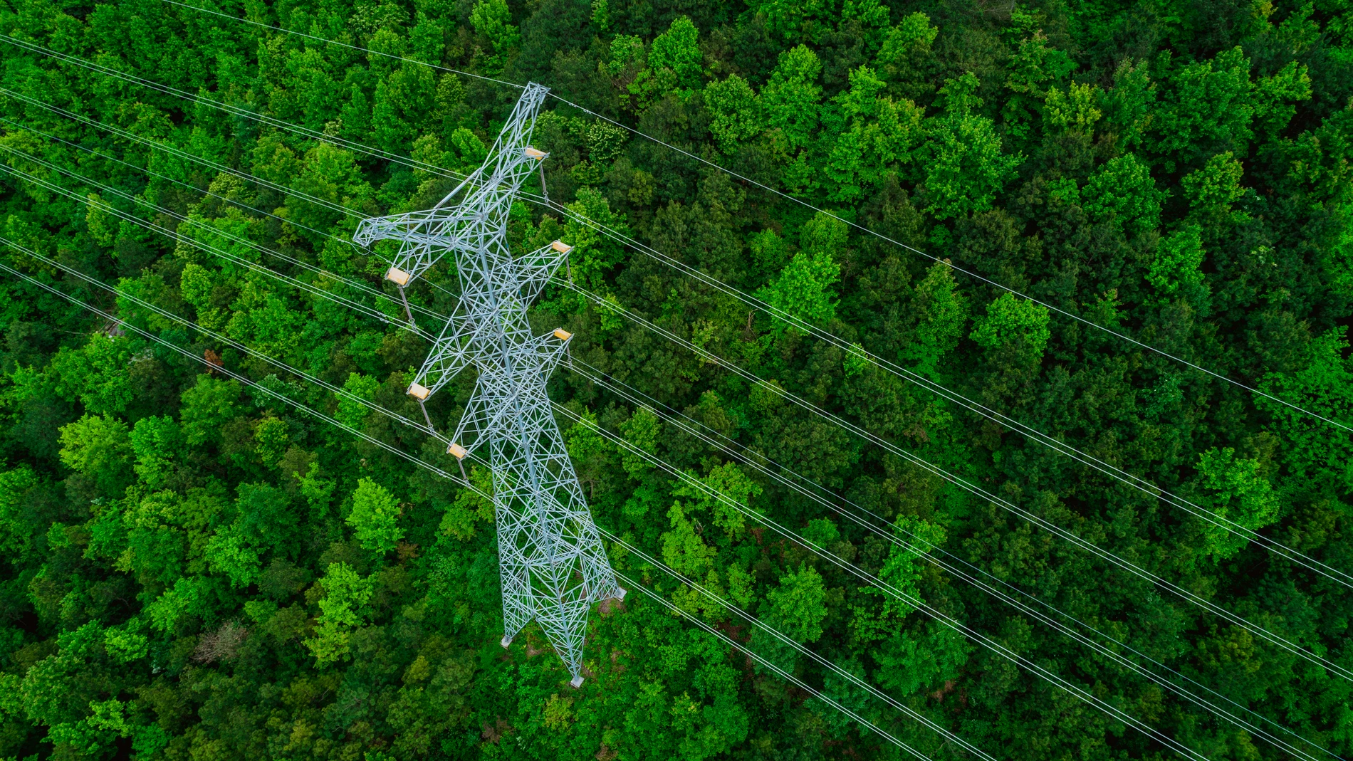Los dispositivos en torres y tendidos eléctricos permiten proteger espacios naturales de alto valor ecológico