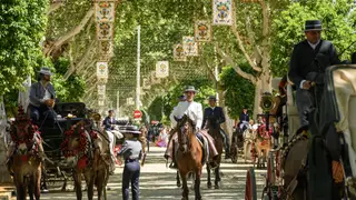 Paseo de caballos en el Real de la Feria en una calurosa jornada de domingo Paseo de caballos en el Real de la Feria en una calurosa jornada de domingo