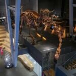 El CosmoCaixa de Barcelona amplía su exposición de dinosaurios con 5 huesos de Patagotitan