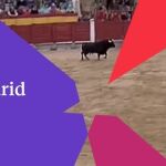 Los toros de San Isidro también se verán por Telemadrid