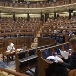 Pleno en el Congreso de los Diputados.