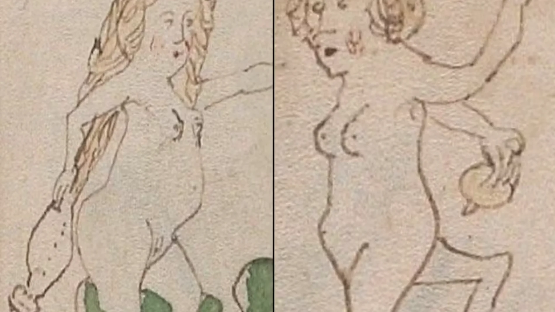 Voynich