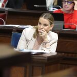 Prohens ve en la denuncia al director del IbSalut una "vorágine de nervios e histerismo" del PSOE balear