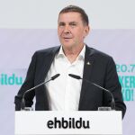 AM-21A.- Otegi pregunta si "va a haber suma abertzale, una suma por la izquierda" o se mantendrá "un Gobierno que resta"