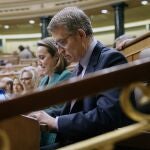  El presidente del PP, Alberto Núñez Feijóo durante la sesión de control al Gobierno celebrada este miércoles en el Congreso. 