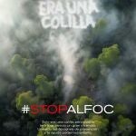 "Era solo una colilla"... es uno del los mensajes de la campaña "STOP al foc"