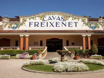 Economía/Empresas.- UGT rechaza "de lleno" el ERTE de Freixenet por la sequía Economía/Empresas.- UGT rechaza "de lleno" el ERTE de Freixenet por la sequía