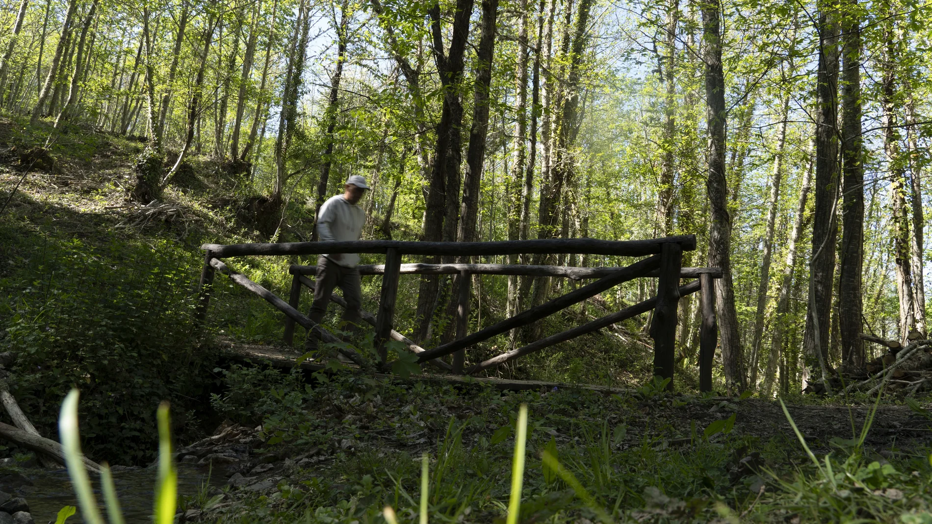 Fin de semana idóneo para disfrutar al aire libre