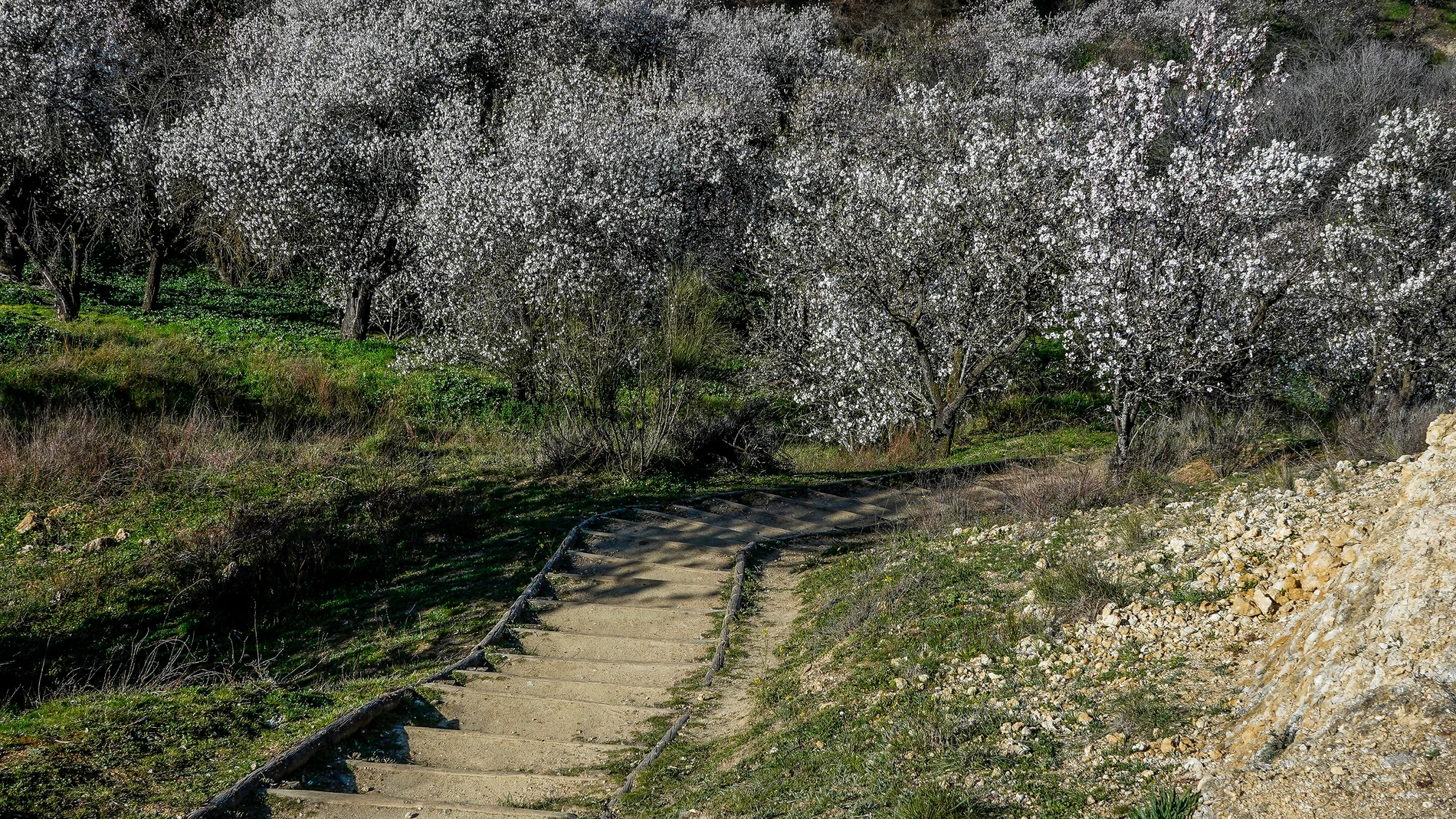 Ruta del Vino de Rueda, BajadaAlmendros.