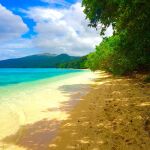 Playa de la Isla de Pele en vanatu