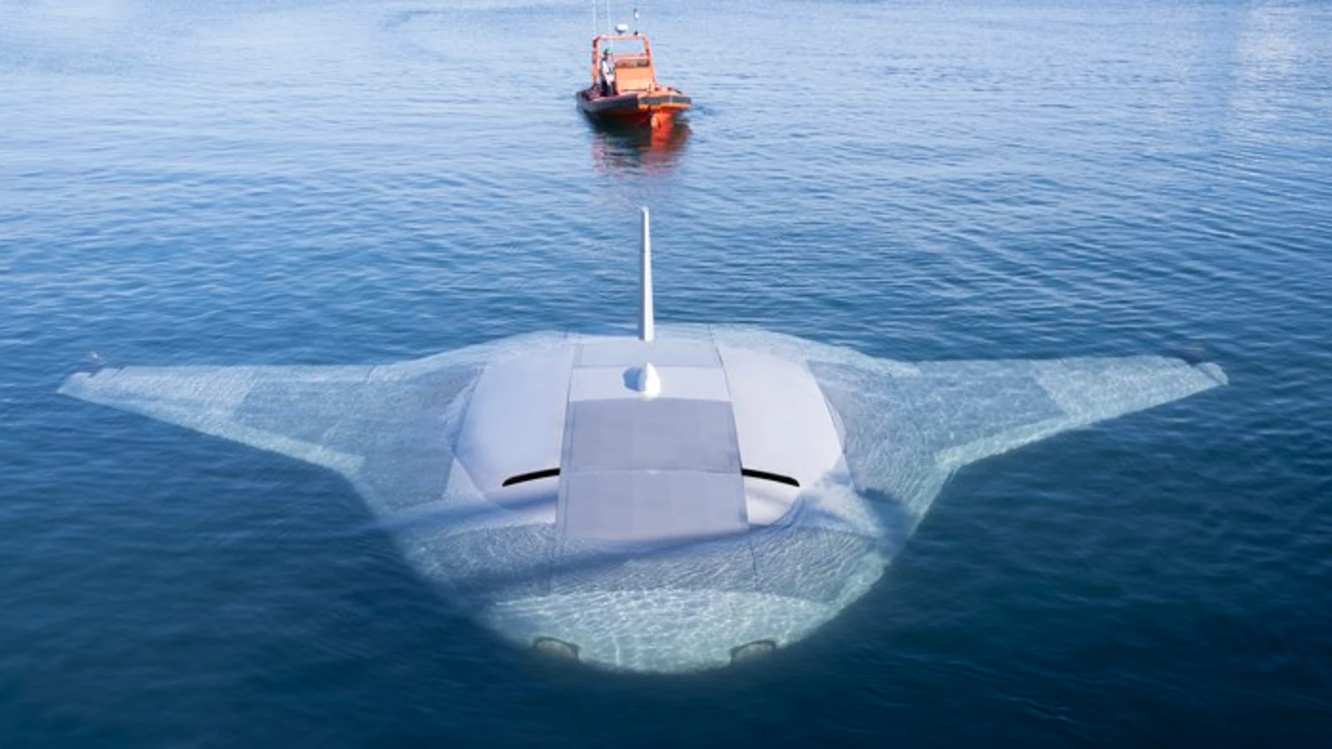 Manta Ray