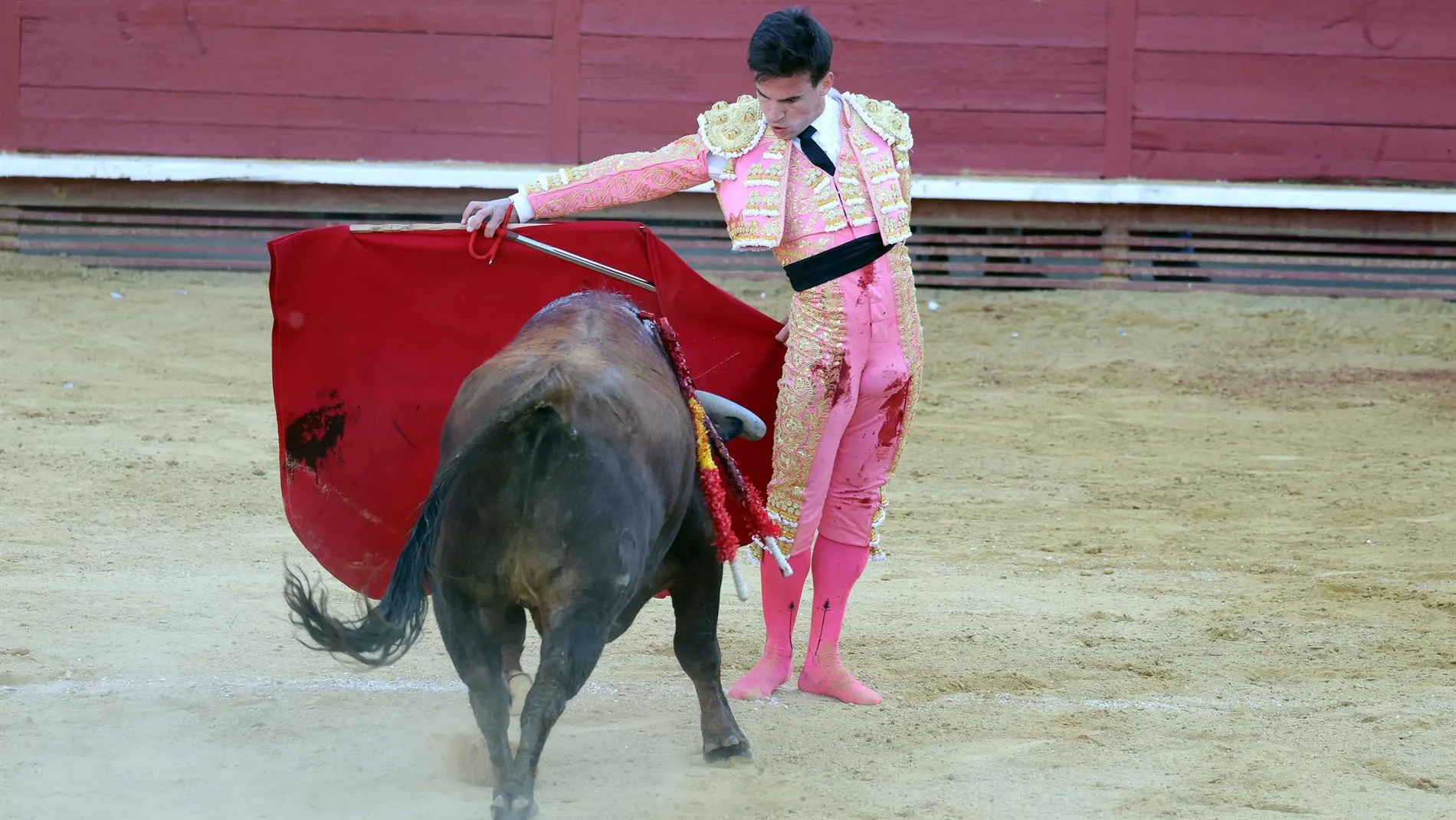 C-LM, Extremadura o Madrid, entre las CC.AA que anuncian crear unos Premios de Tauromaquia tras la supresión de Cultura