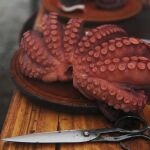 Economía/Pesca.- Comienza la veda de pulpo hasta julio tras una caída de ventas del 13% en lo que va de año