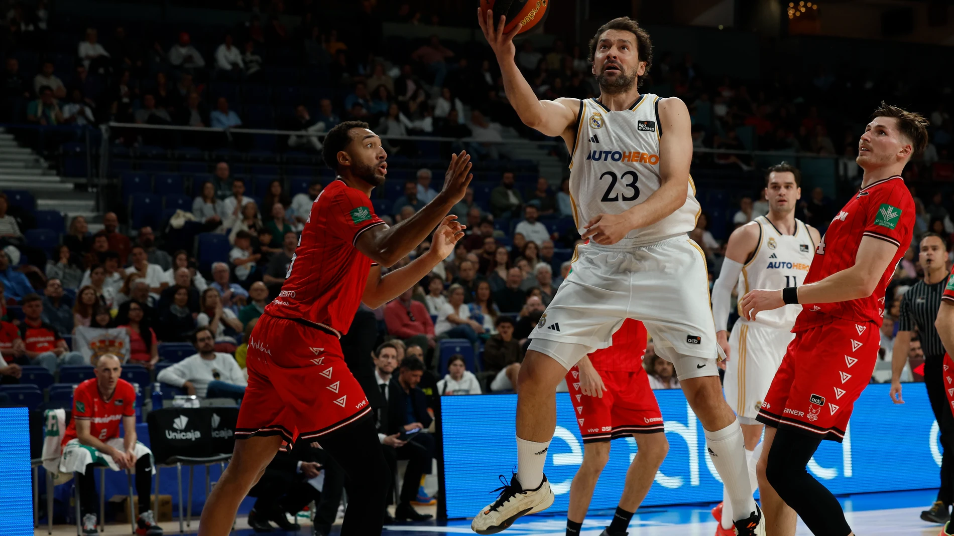 Llull se dispone a anotar una bandeja sin oposición