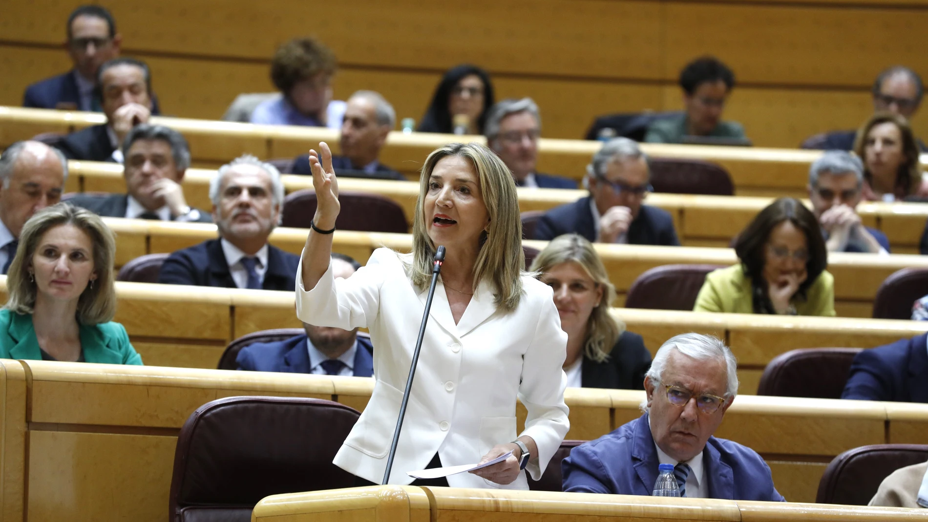 Alicia García Rodríguez durante una sesión de control al Gobierno en el Senado.
