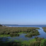 Paisaje de Doñana