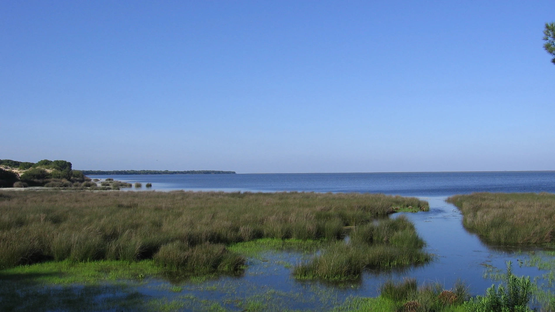 Paisaje de Doñana