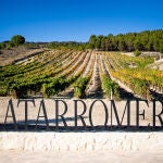 Bodega Matarromera