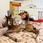 "Piropo de Triana" y Triana Carrión