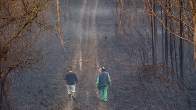 Unas personas caminan por un bosque calcinado tras un incendio forestal, una de las causas de pérdida de biodiversidad