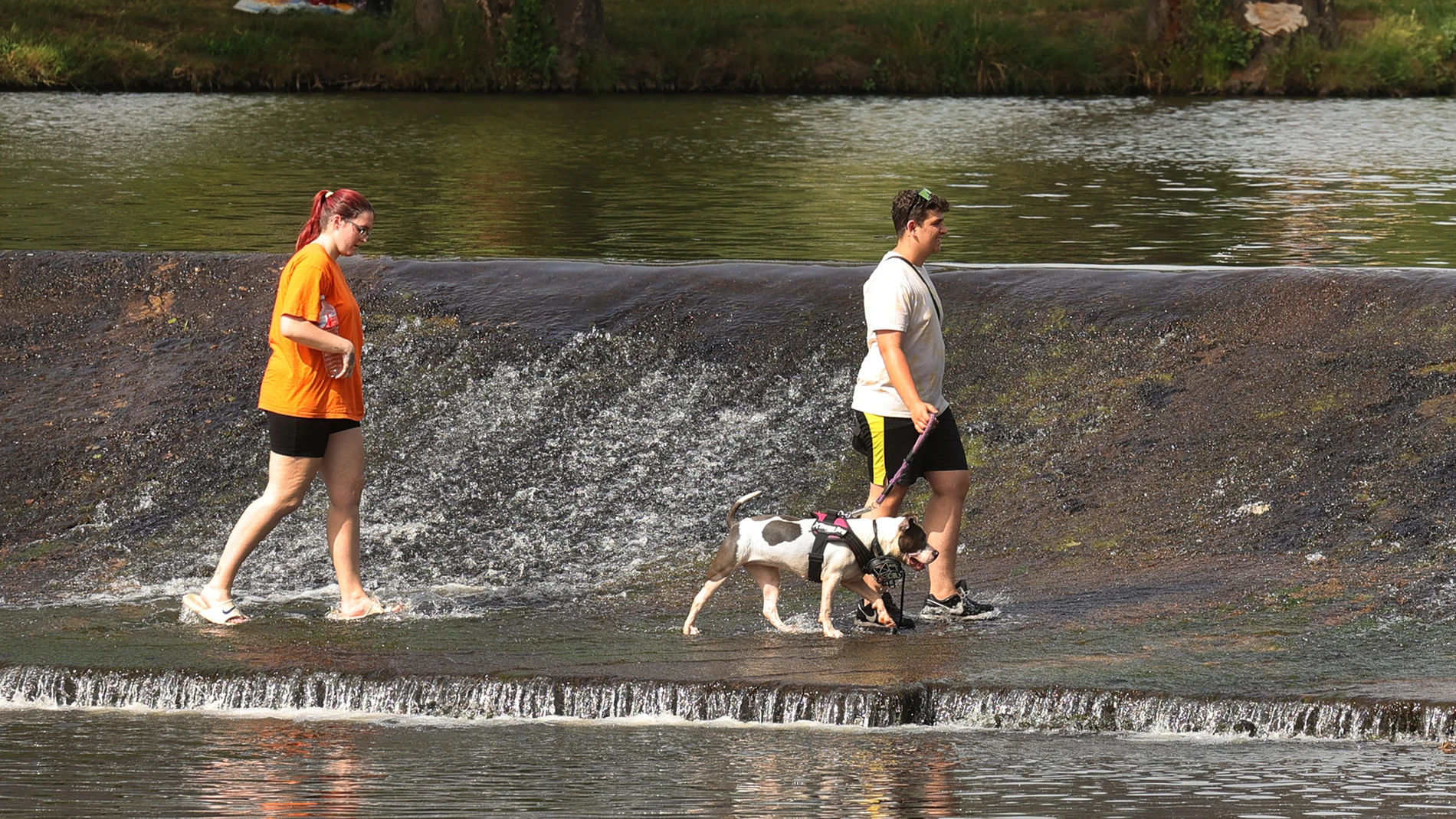 Una pareja pasea con su perro junto al río Águeda, en Ciudad Rodrigo (Salamanca)