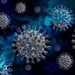 Virus de la Covid-19