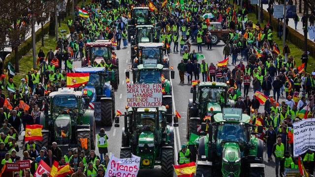 Agricultores y ganaderos de varios puntos de España marchan hacia el número 46 del Paseo de la Castellana, donde se ubica la Oficina en España del Parlamento Europeo, en Madrid. en la tercera semana de protestas del campo.