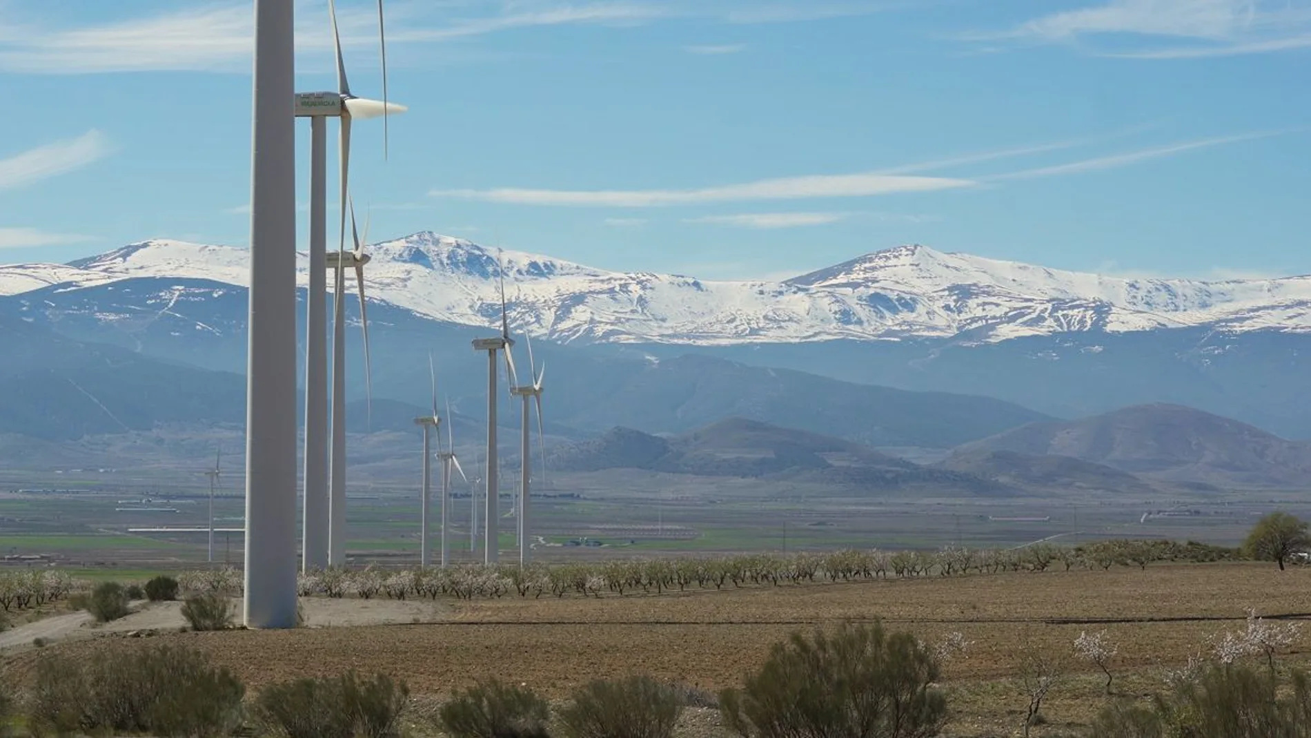 Iberdrola celebra su Junta General de Accionistas 2024 este viernes