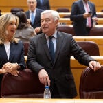 El Senado vota el veto a la ley de amnistía