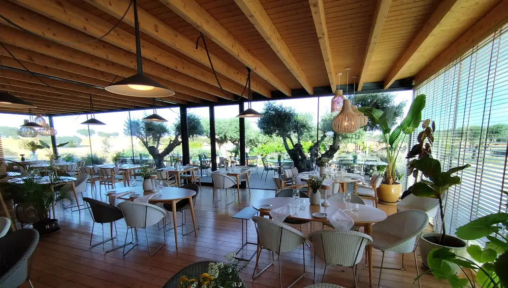 El interior del restaurante destaca, además de su acogedor diseño, por su luminosidad