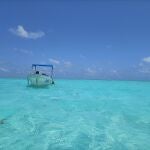 Las aguas caribeñas de la Riviera Maya de México