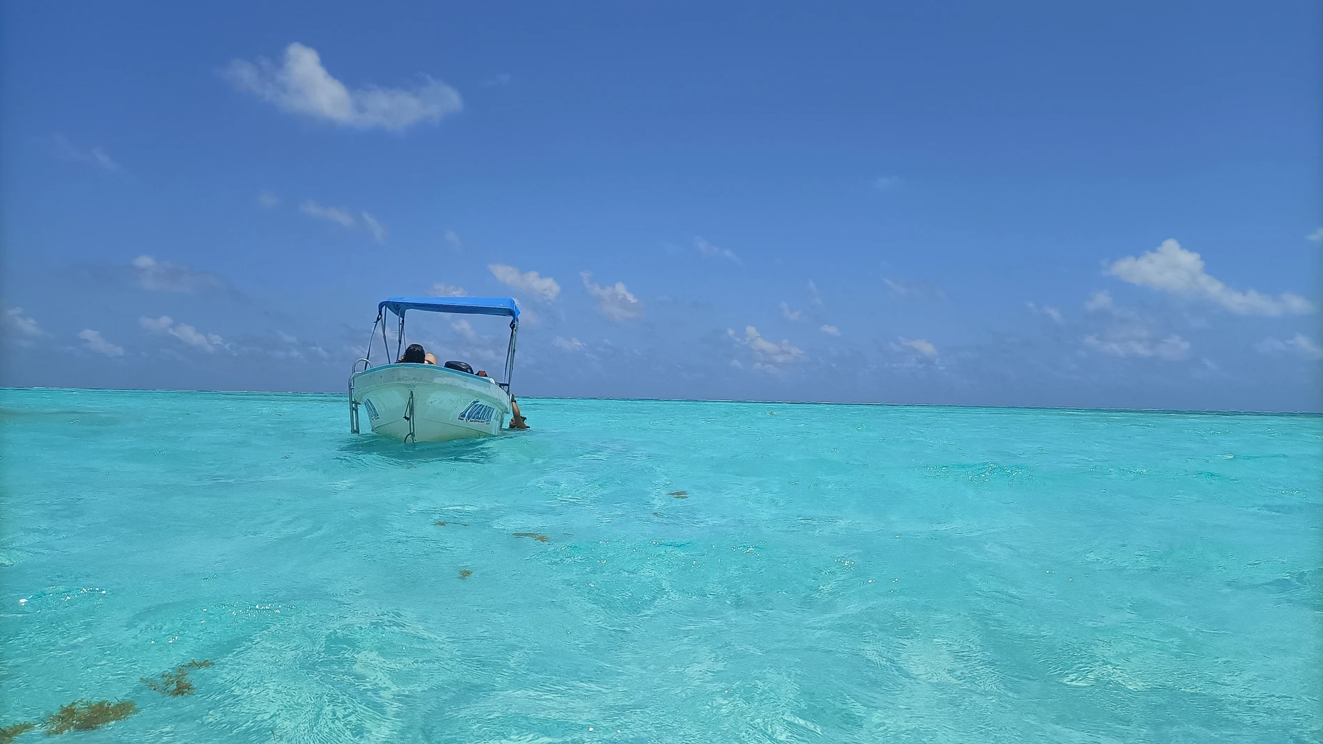 Las aguas caribeñas de la Riviera Maya de México