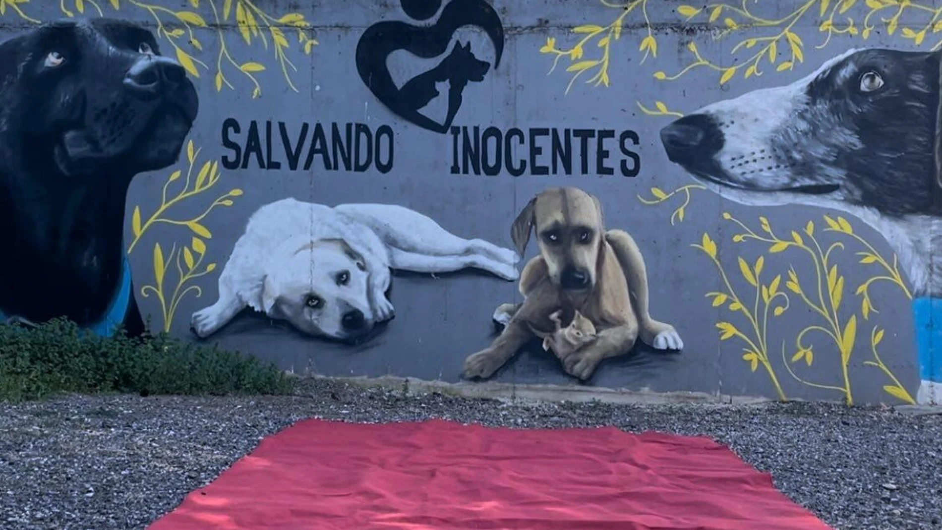 "Salvando Inocentes" es un refugio de animales que se encuentra en Quintanar de la Orden, un pueblo de la provincia de Toledo