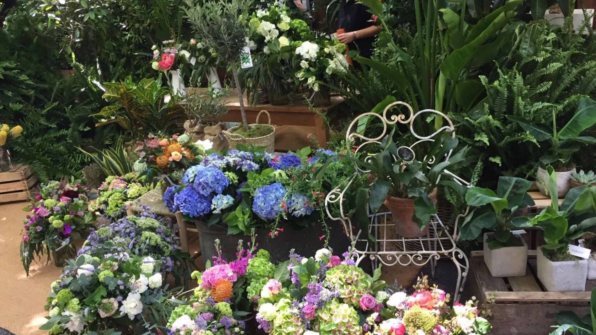 MADRID.-El Mercado de las Flores de Primavera vuelve este sábado a la calle Jorge Juan de la capital con más de 20 floristerías