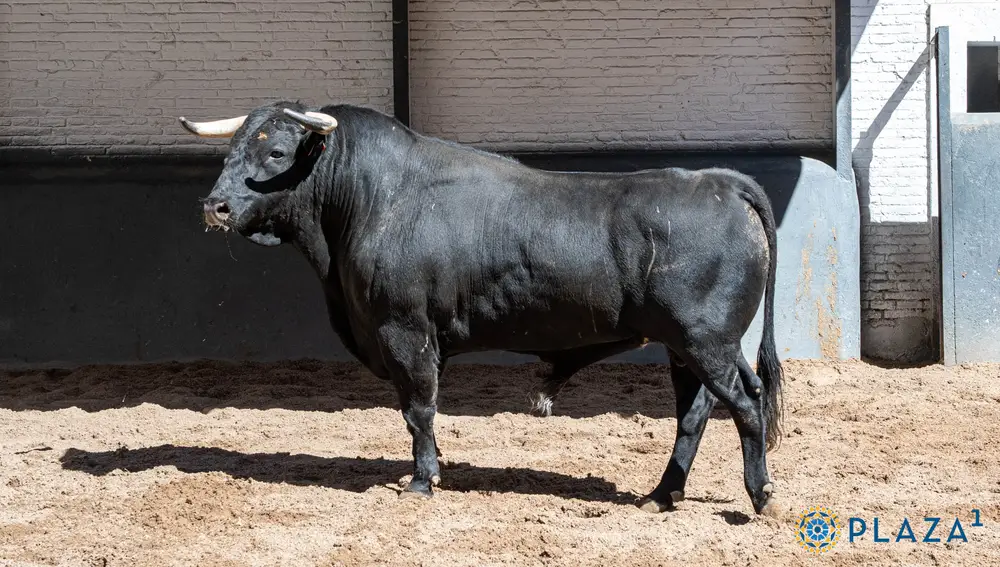5º, "Ignorado"