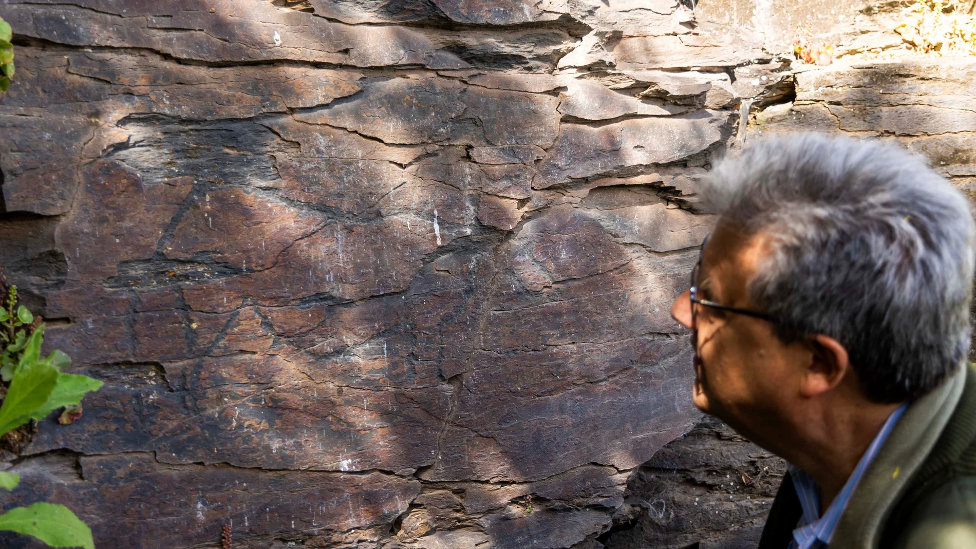 El Paraje de la Salud supone un conjunto considerado BIC con la categoría de Zona Arqueológica, que guarda grabados rupestres datados en torno a los 25.000 años