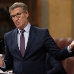 Feijóo acusa a Sánchez de no aclarar las actividades profesionales de su esposa y anuncia que le llamará en el Senado